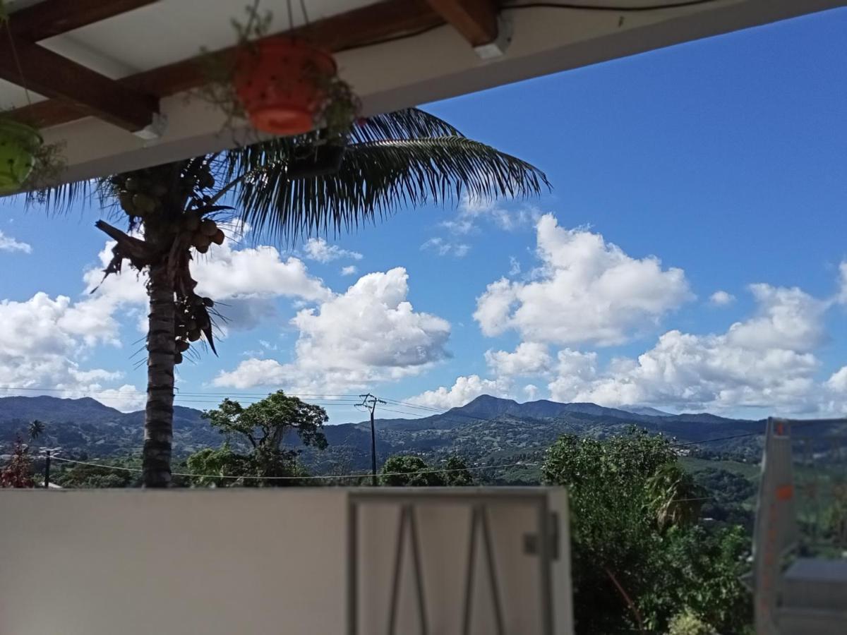 Paradis Cache - Confort Terrasse - Kybo Karaib Location - Pkg - Mtgne Сент-Мари Экстерьер фото