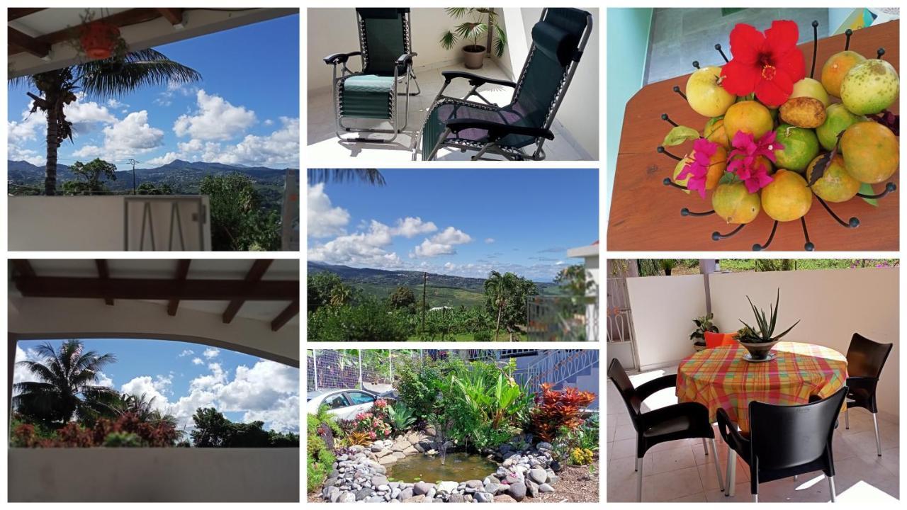Paradis Cache - Confort Terrasse - Kybo Karaib Location - Pkg - Mtgne Сент-Мари Экстерьер фото